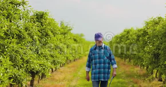 男性研究员在剪贴板上写字时看树视频的预览图