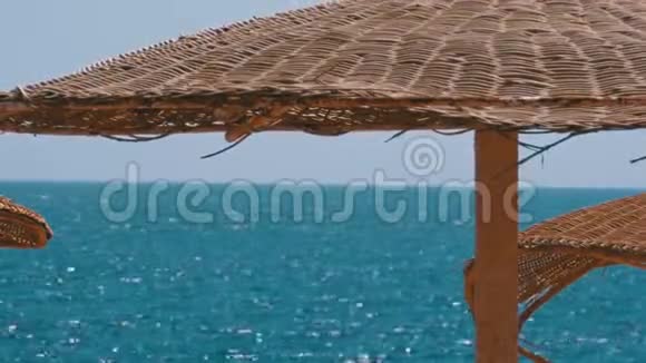 以红海为背景的埃及空海滩带伞视频的预览图