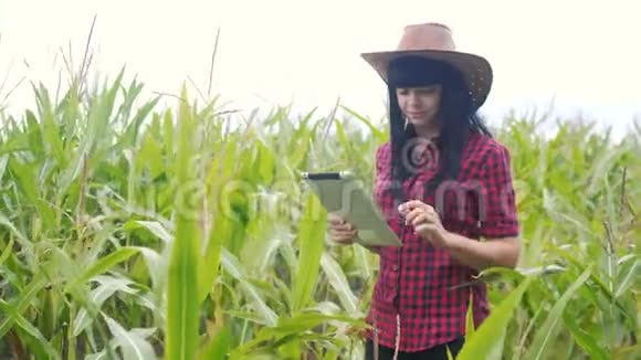 智慧生态农业耕作理念生活方式农民女孩植物研究员在检查时使用和触摸平板电脑视频的预览图