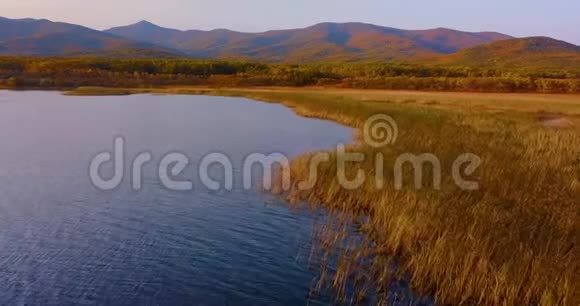 在美丽的布拉戈达托诺耶湖上空飞行背景上环绕着绿色的森林和山脉视频的预览图