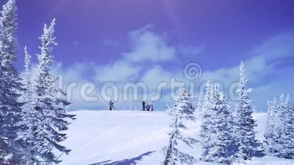 冬天的树木在山上覆盖着新鲜的雪缓慢地运动1920x1080视频的预览图