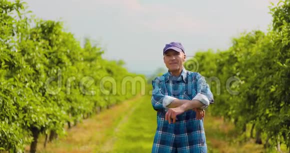 男性研究员在剪贴板上写字时看树视频的预览图