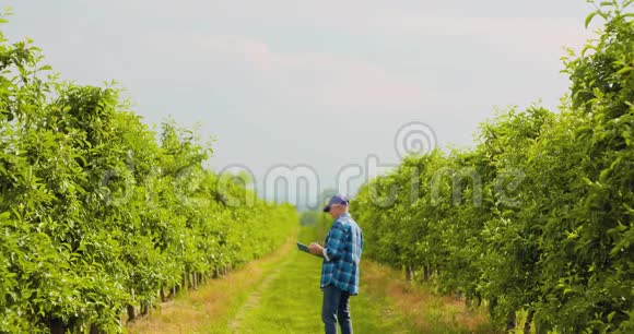 男性研究员在剪贴板上写字时看树视频的预览图