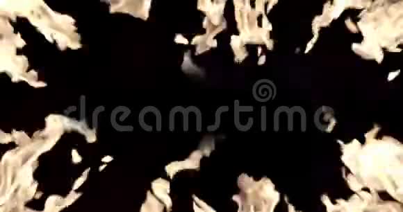 火架火焰隔离在黑色背景视频的预览图