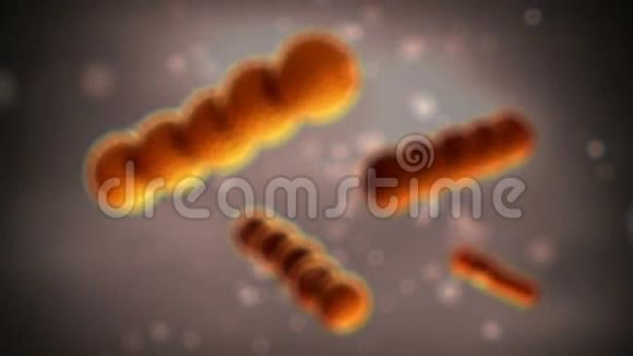 细菌链球菌球形革兰氏阳性细菌4K分辨率视频的预览图