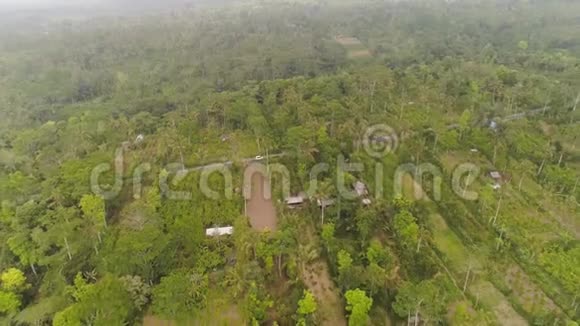 印度尼西亚巴厘岛的农田和村庄视频的预览图