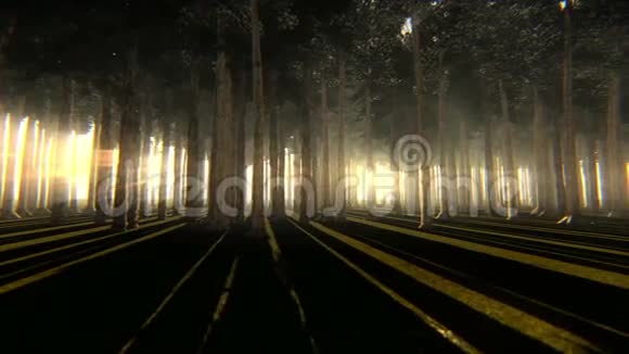 穿过一个迷人的森林镜头视频的预览图