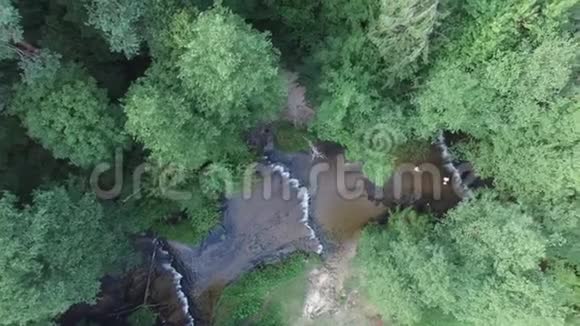 森林与河流鸟瞰视频的预览图