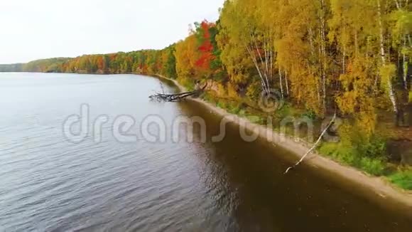 秋季飞越湖泊和森林视频的预览图