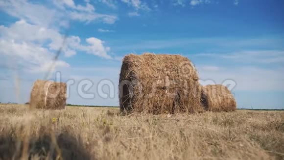 农业养殖概念慢动作生活方式视频美丽的蓝天下麦田上的干草堆视频的预览图