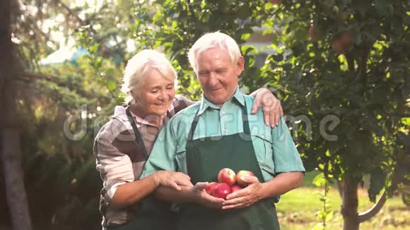 一对有苹果的老夫妇视频的预览图