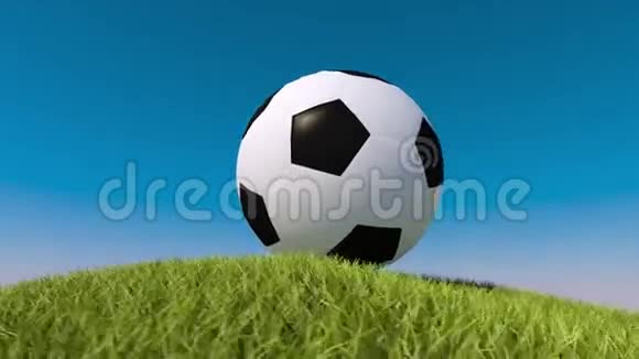 草地上的足球三维动画足球动画视频的预览图