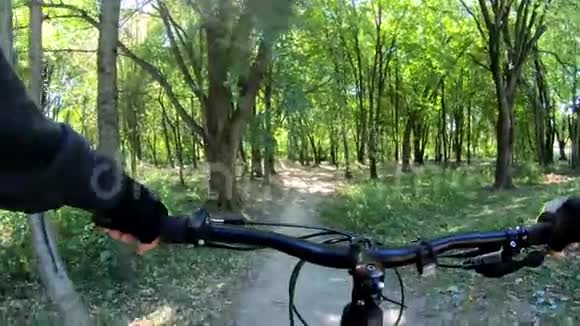 MTB自行车在秋季骑自行车视频的预览图