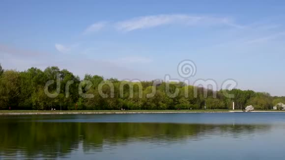 公园里美丽的湖景和树木视频的预览图
