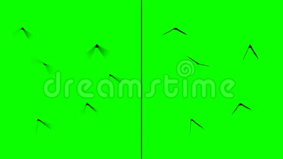 昆虫在绿色屏幕上飞行背景分为两组平原与运动模糊视频的预览图