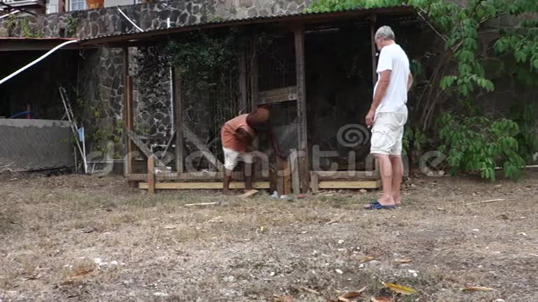 在加勒比海修狗笔视频的预览图