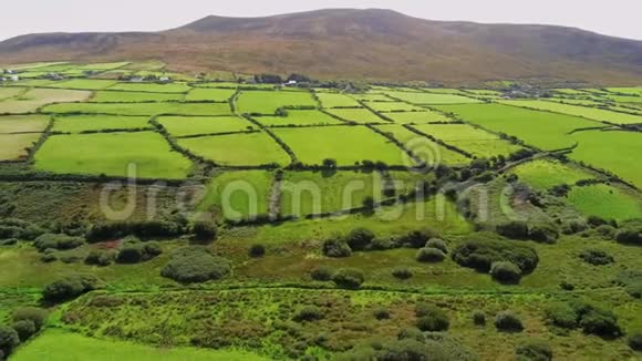 飞越典型的爱尔兰风景视频的预览图
