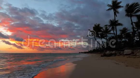 多米尼加共和国蓬塔卡纳的日出海水棕榈树和热带岛屿海滩视频的预览图