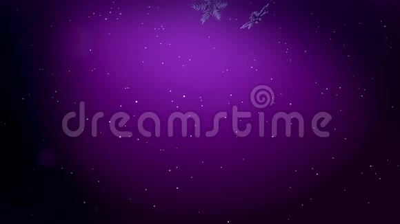 美丽的3D雪花在空气中缓慢地漂浮在紫色的背景下在夜间发光使用动画视频的预览图