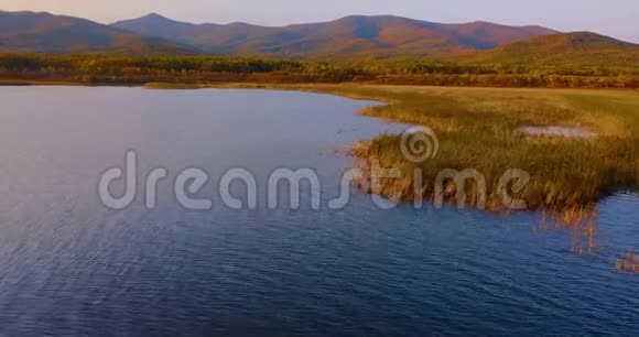 在美丽的布拉戈达托诺耶湖上空飞行背景上环绕着绿色的森林和山脉视频的预览图