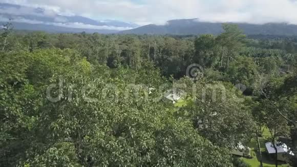 树木和山景视频的预览图