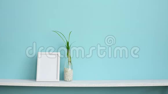 现代客房装饰与相框模型白色的架子靠在粉绿色的墙壁上上面有蜘蛛植物的插条在水中视频的预览图