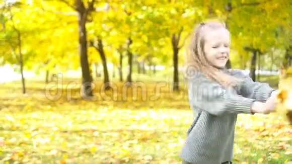 秋天带着黄叶花束的可爱小女孩的肖像视频的预览图