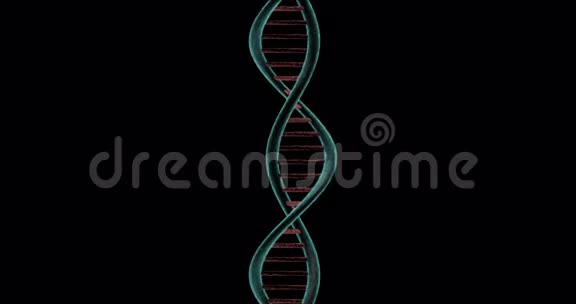 在黑色背景上旋转的DNA链视频的预览图