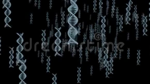DNA螺旋飞行过相机视频的预览图