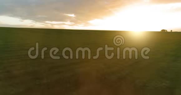 在阳光明媚的夏季傍晚飞行在乡村夏日景观之上有着无尽的黄色田野秋季农业农田视频的预览图