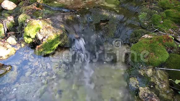 木河在夏天视频的预览图