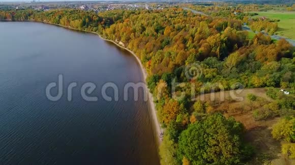 秋季飞越湖泊和森林视频的预览图