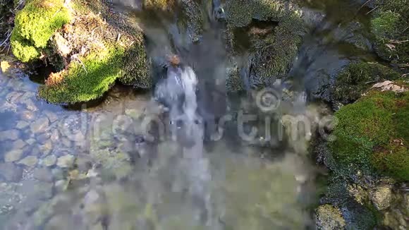 木河在夏天视频的预览图