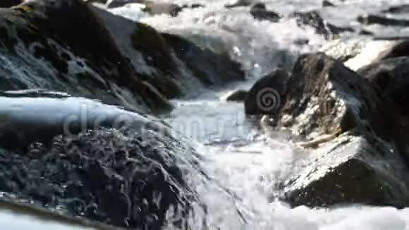 奥地利高山河上的瀑布视频的预览图