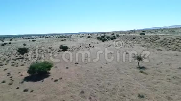 卡拉哈里沙漠野游后的无人机镜头视频的预览图