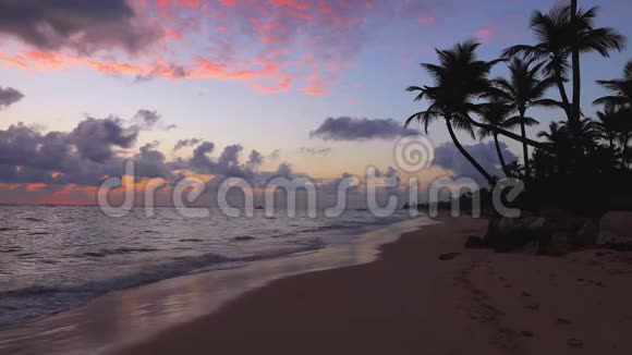 天堂热带岛屿海滩和加勒比海日出视频的预览图