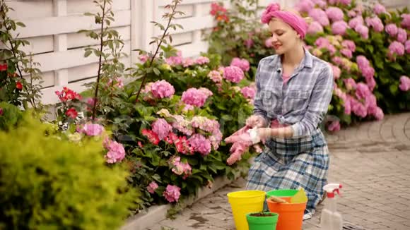 女人关心花园里的花快乐的女人花匠绣球花春天和夏天温室花视频的预览图