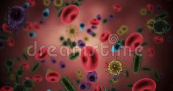 在红色背景下产生的病毒细胞红细胞和细菌视频的预览图
