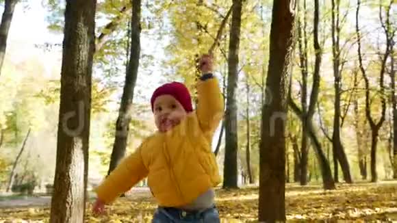 秋天在公园玩耍的快乐小男孩视频的预览图