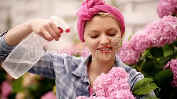 女人关心花园里的花快乐的女人花匠护花和浇水土壤和肥料视频的预览图