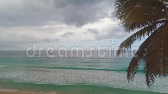 美丽的日出覆盖了热带海滩和奇异的棕榈树蓬塔卡纳海视频的预览图