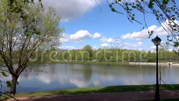 欧洲公园美丽的湖景视频的预览图
