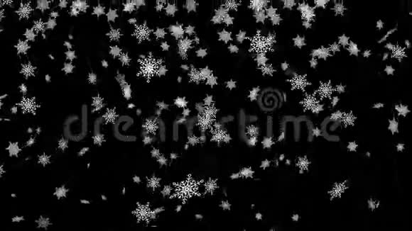 雪花落在黑色背景上视频的预览图