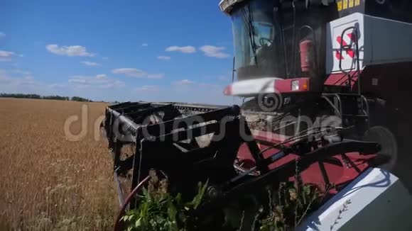 联合收割机割麦慢动作录像收获农业概念结合实地生活方式收集视频的预览图