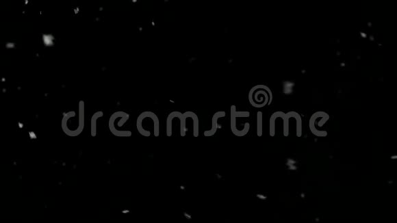 雪在夜间冬天慢慢落下慢动作视频的预览图