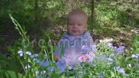 宝贝坐在花丛里视频的预览图