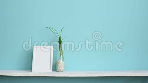 现代客房装饰与相框模型白色的架子靠在粉绿色的墙壁上上面有蜘蛛植物的插条在水中视频的预览图