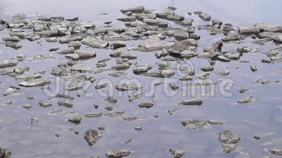 石头在水里视频的预览图