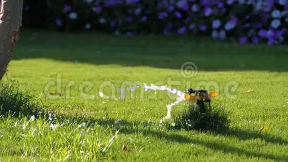 草地花园自动草坪洒水器视频的预览图