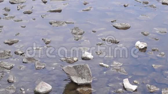一条河里的石头视频的预览图